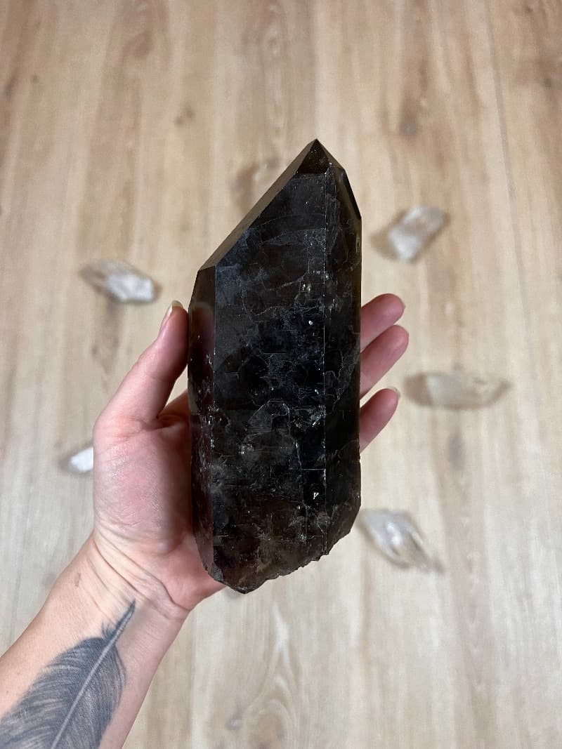 Záhněda Morion surová špice - 17cm