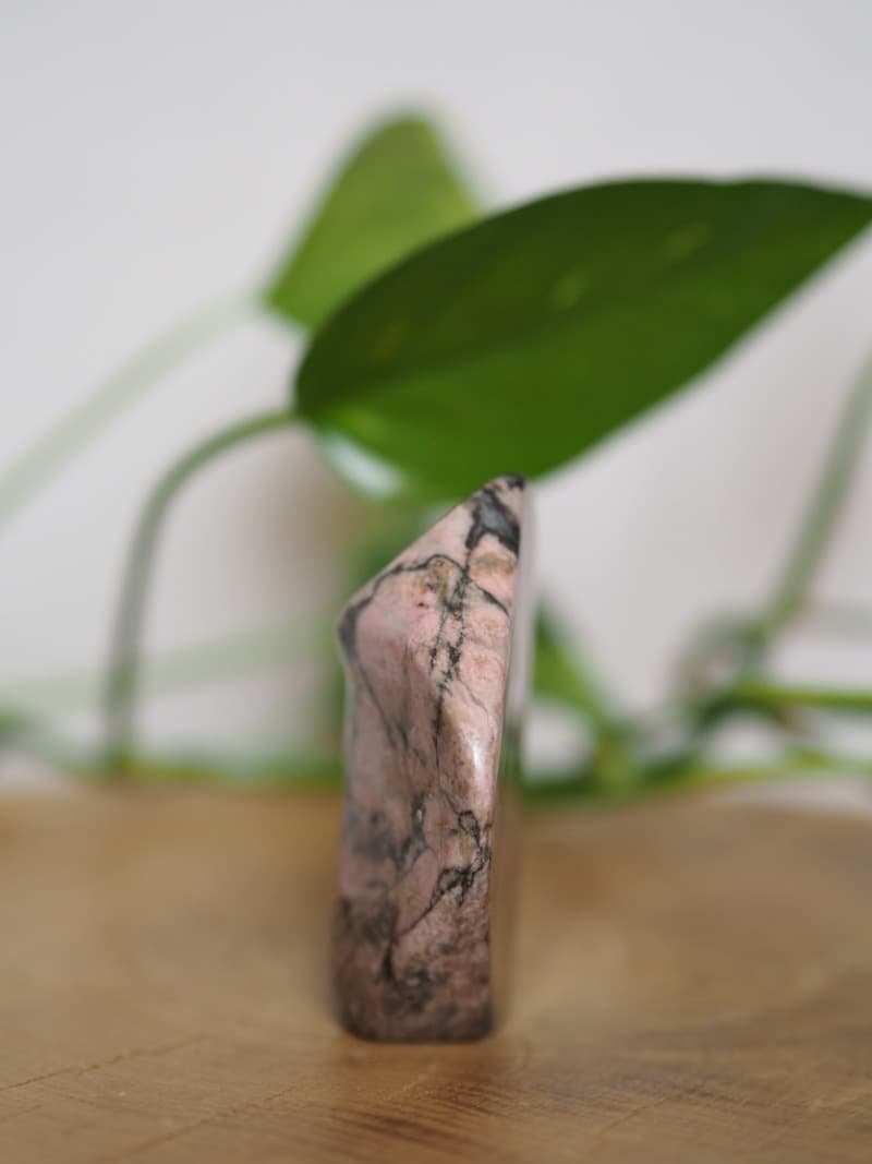 56 Rodonit free form