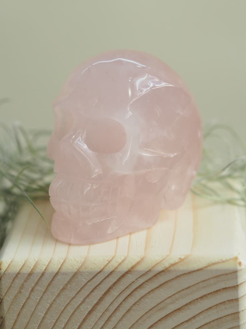 22 Lebka Ruzenin velka