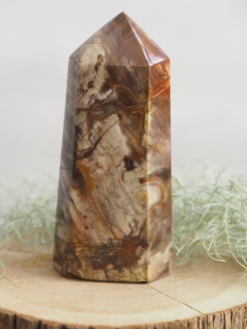 23 Zkamenele drevo obelisk