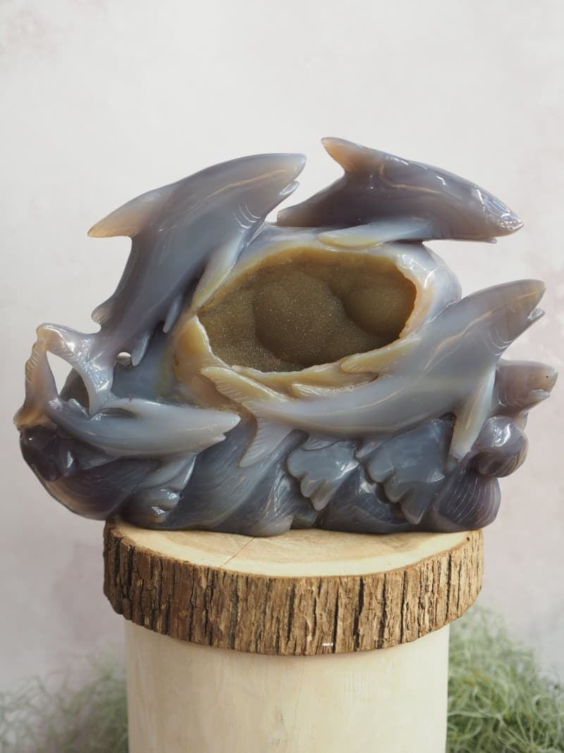 34 Soska z kamene Achat zraloci